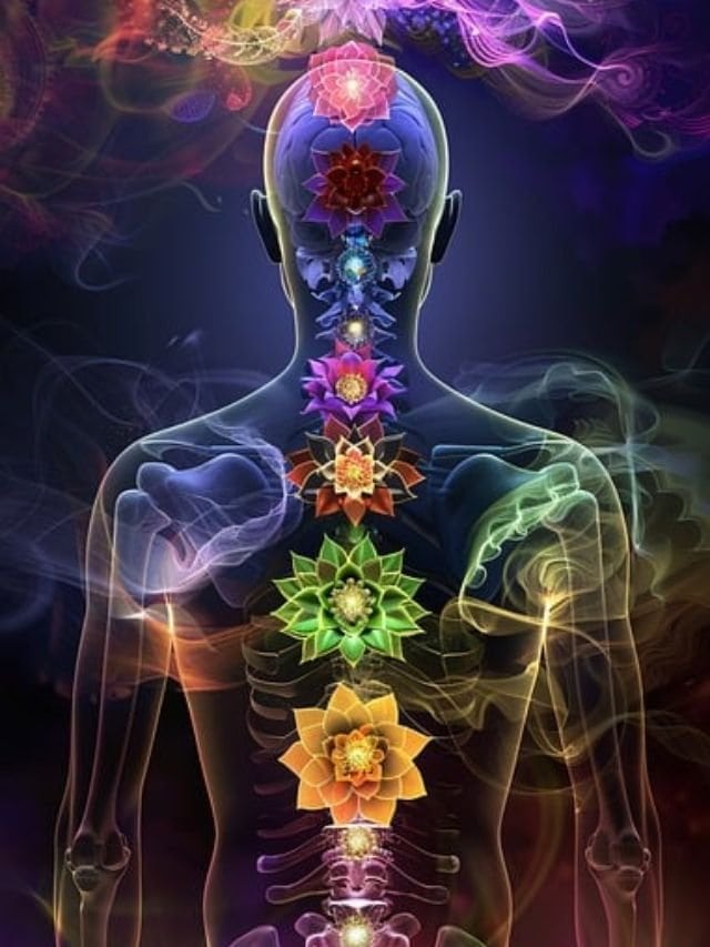 chakras in human body