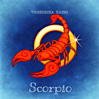 Scorpio Bracelet (Vruschika Rashi)